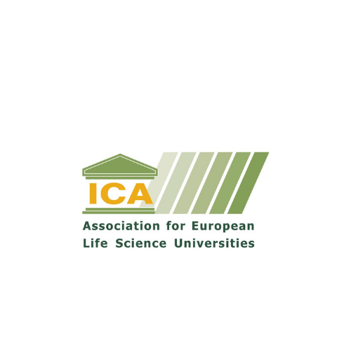 Logo ICA