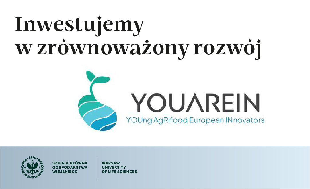 projekt you are in