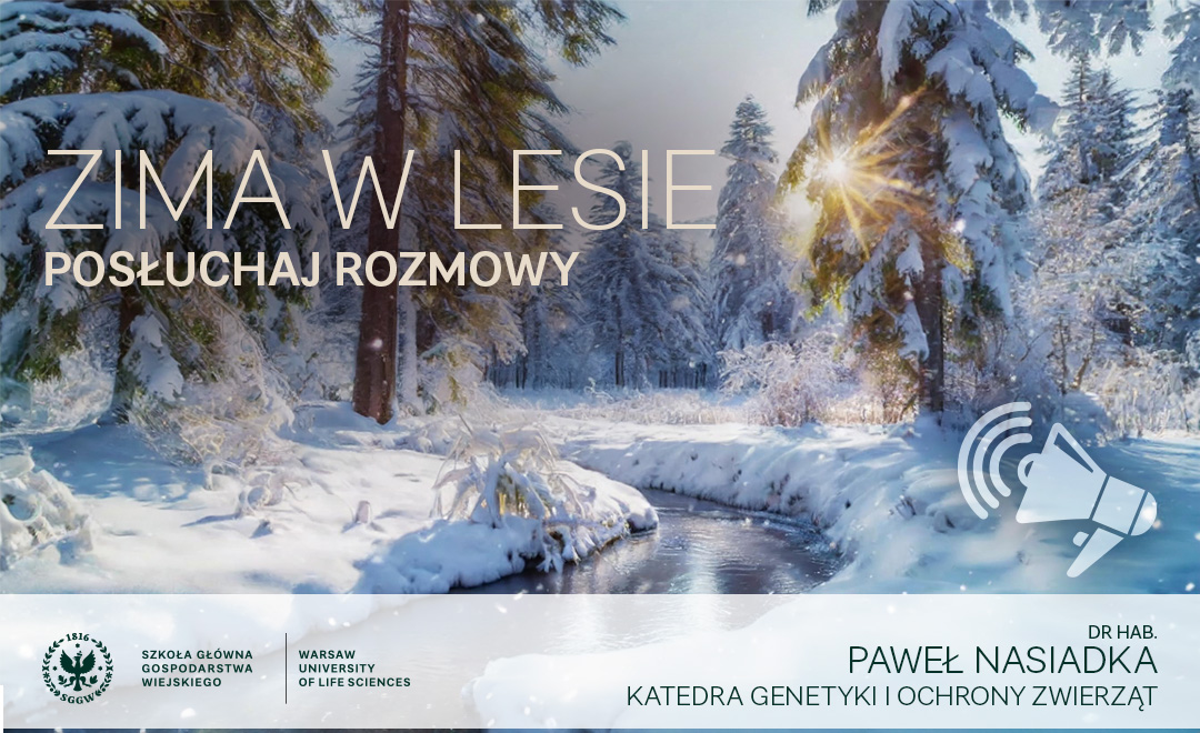 rozmowa z dr Pawłem Nasiadką zimie w lesie