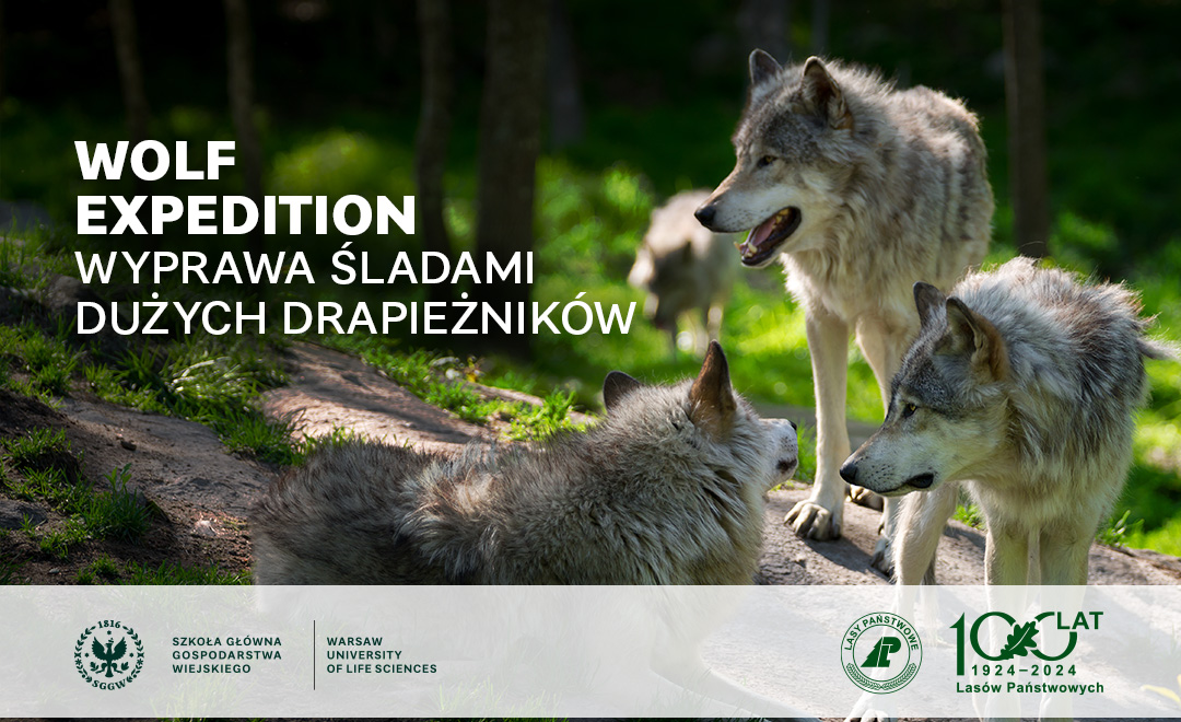 wolf expedition