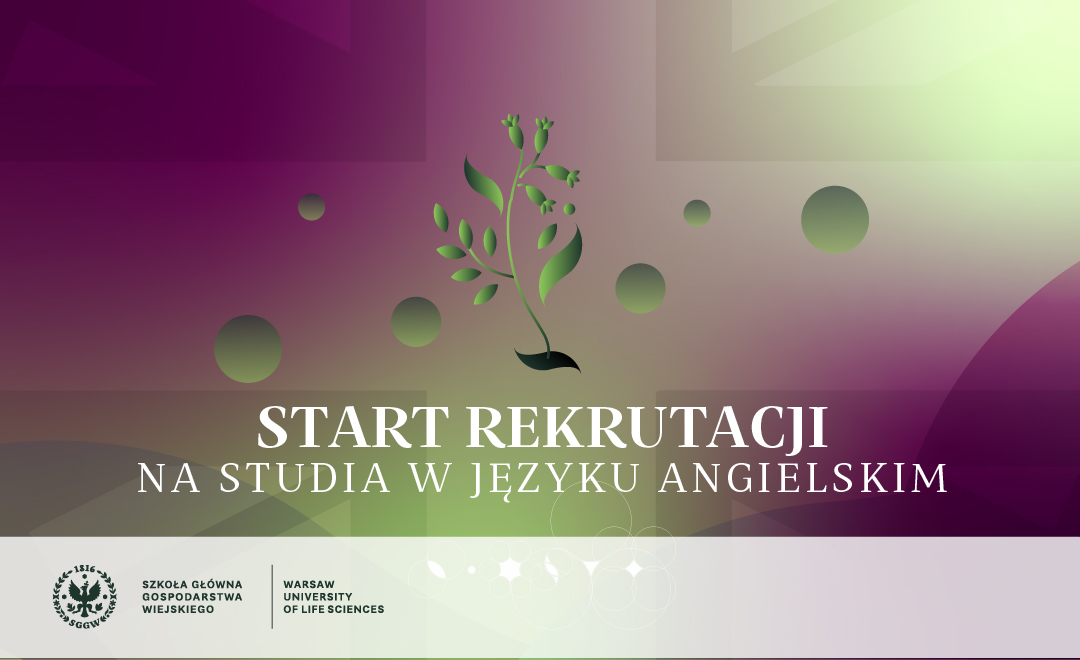 rekrutacja na studia anglojęzyczna