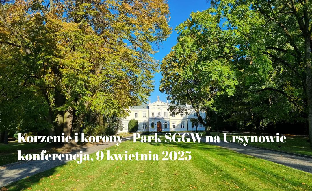 budynek w parku