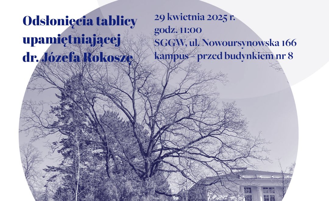 grafika dekoracyjna