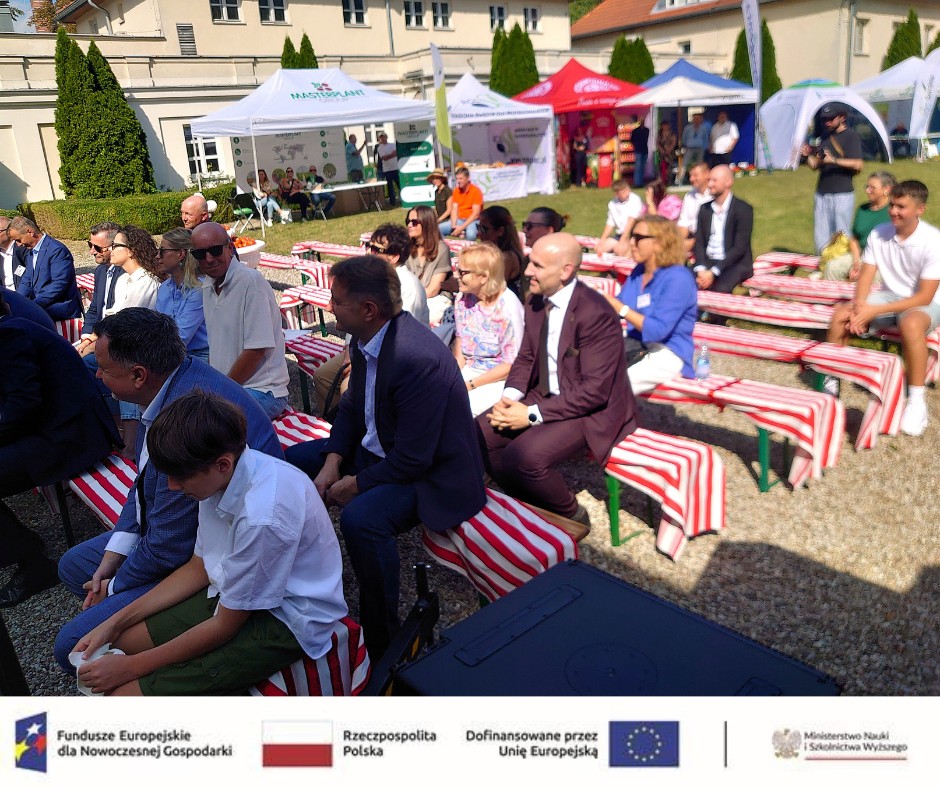 ogólnopolskie święto pomidora publiczność